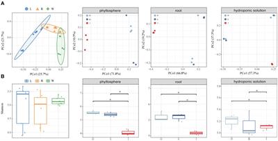 Role of bacterial pathogens in microbial ecological networks in hydroponic plants